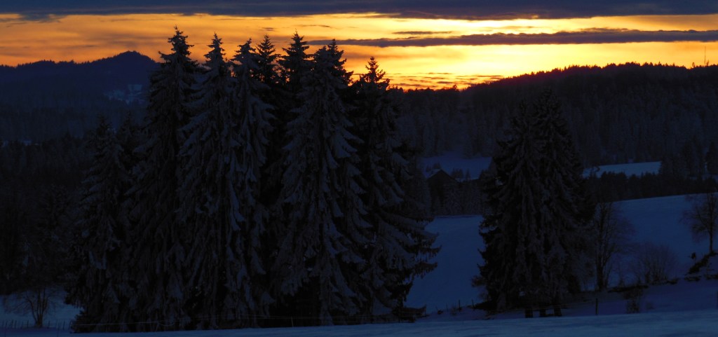 DSCN9841