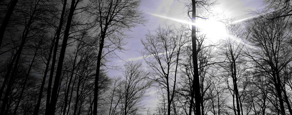 DSCN0177