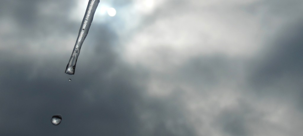 DSCN0332