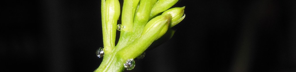 DSCN03862