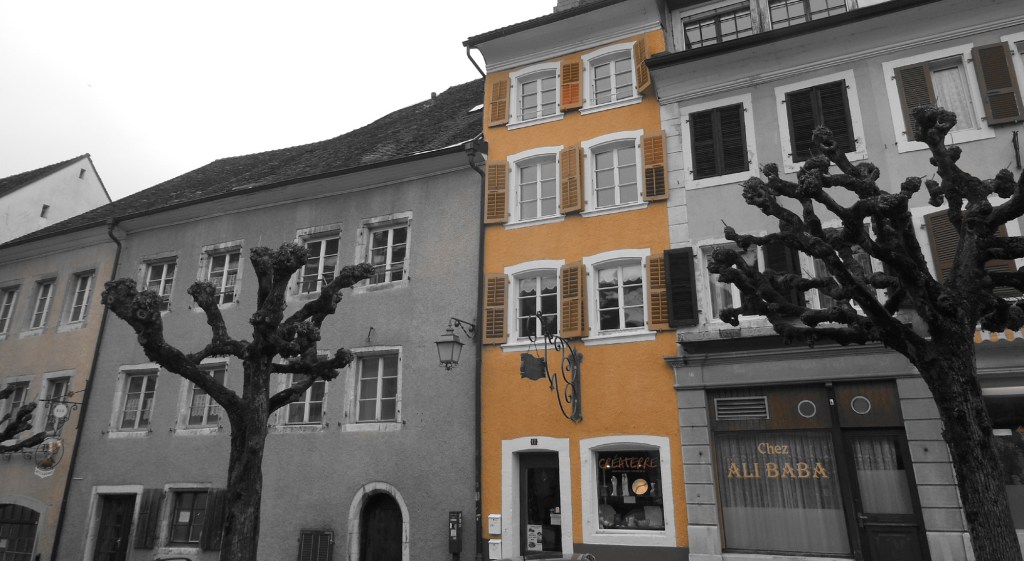 DSCN0607