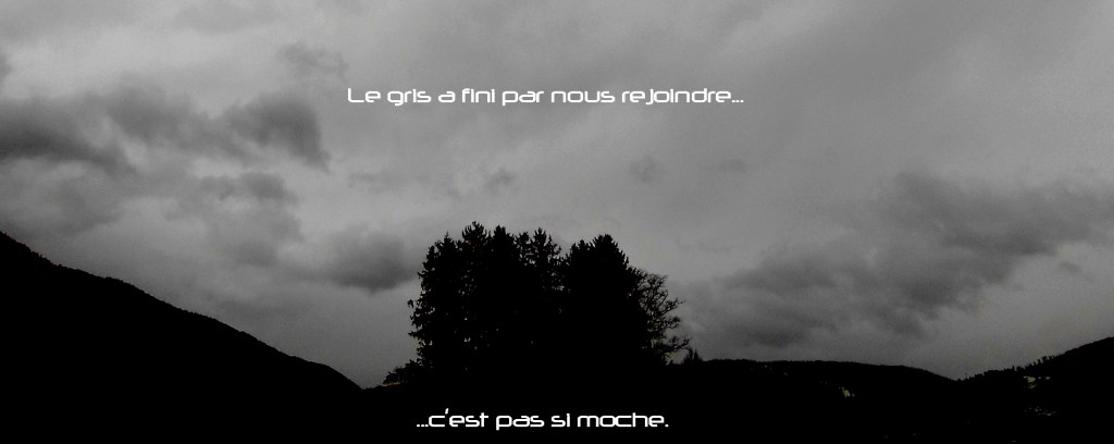 DSCN0701 copie