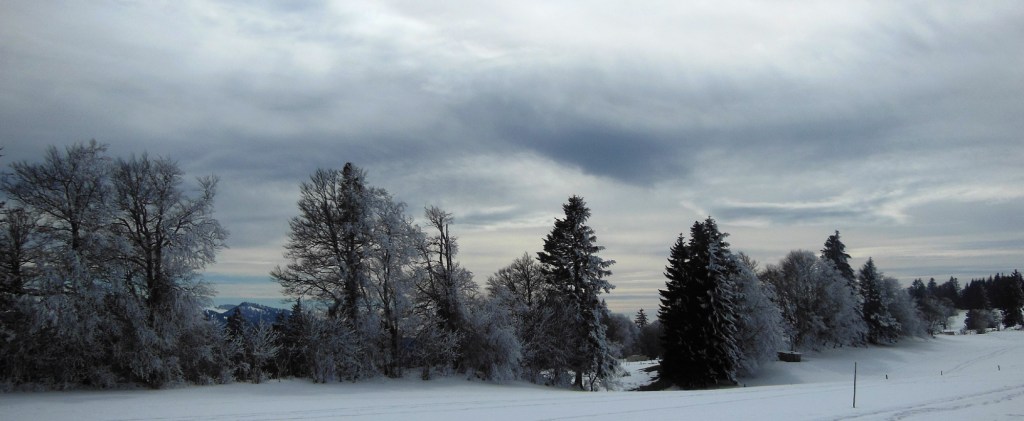 DSCN0852