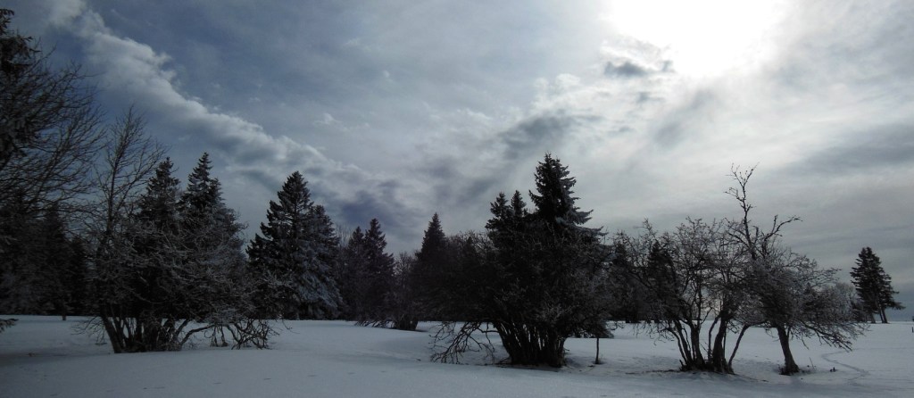 DSCN0881