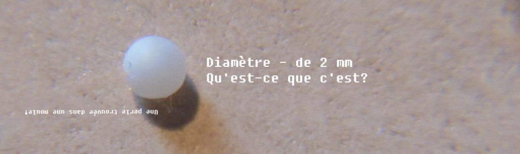 DSCN1385 copie