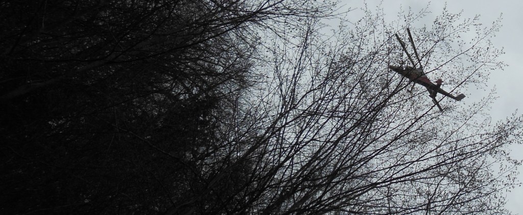 DSCN1488