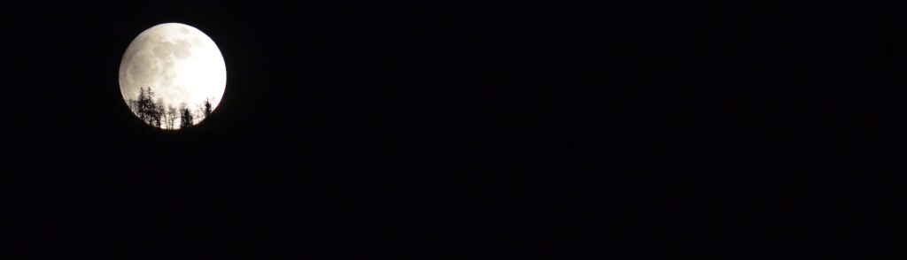 PYK_8694