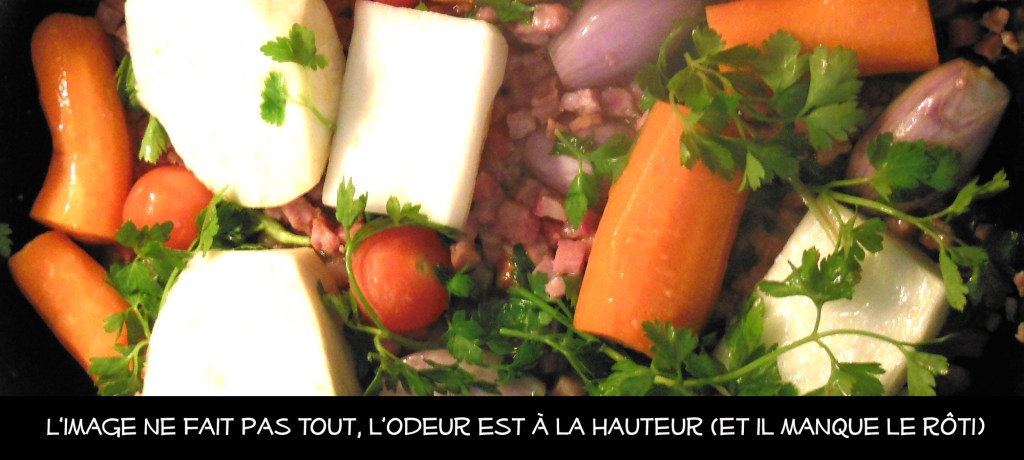DSCN1738 copie