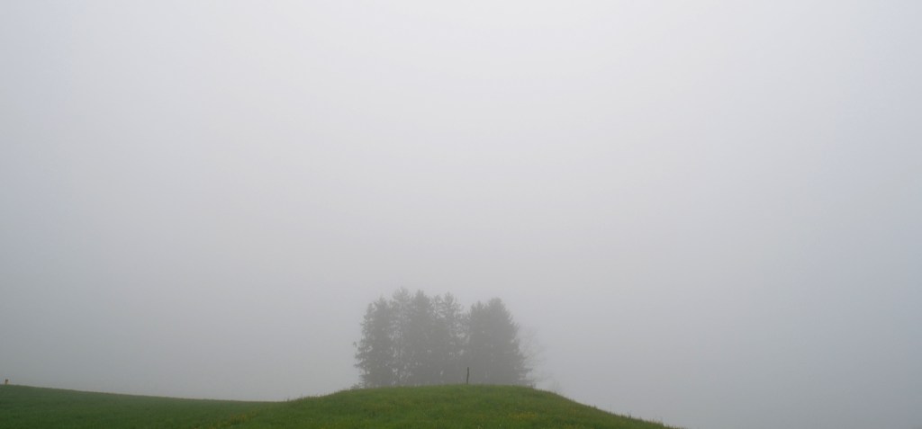 PYK_8765