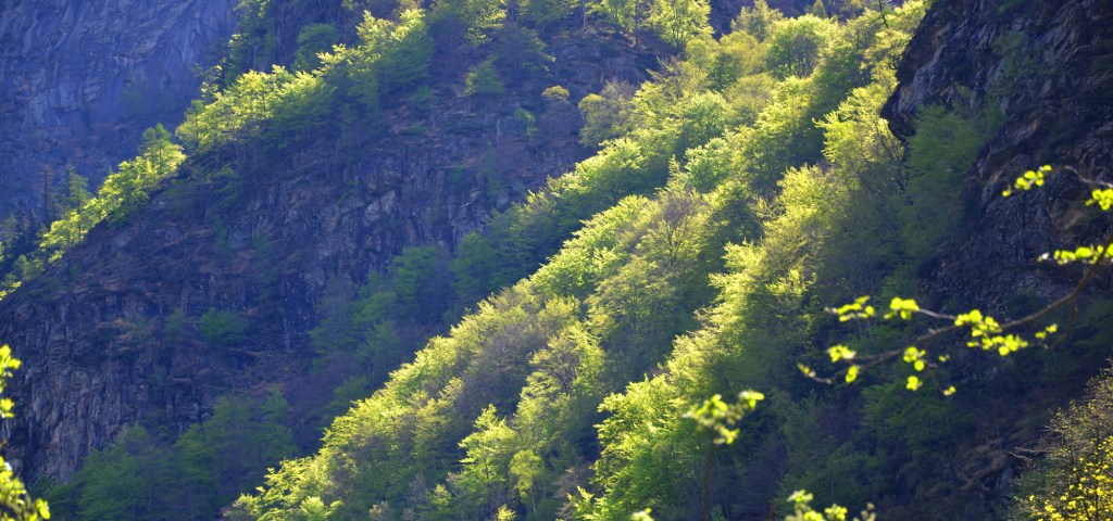 PYK_8912
