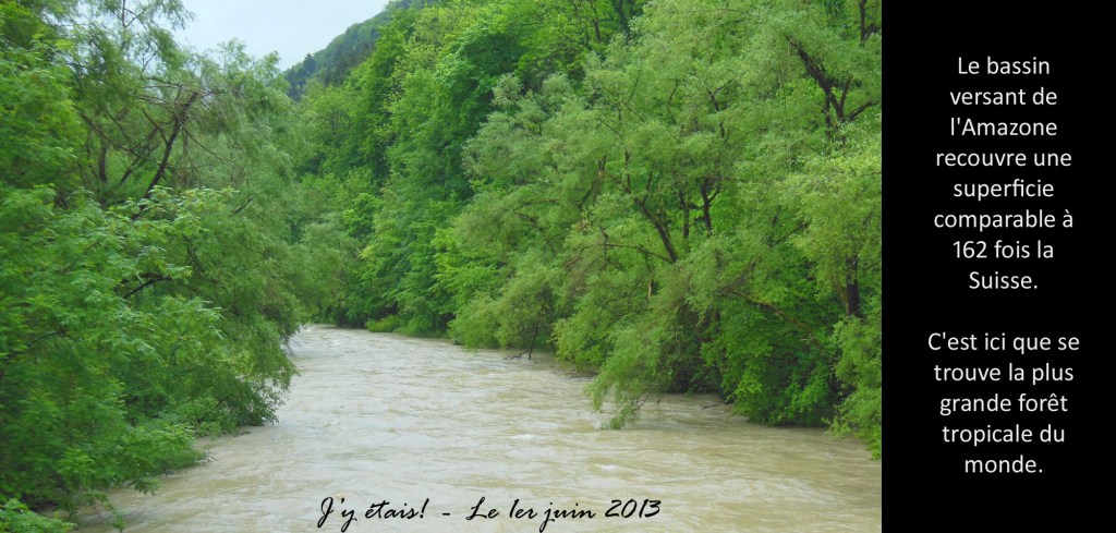 DSCN2009 copie