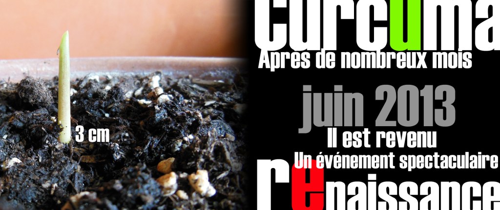 DSCN2115 copie