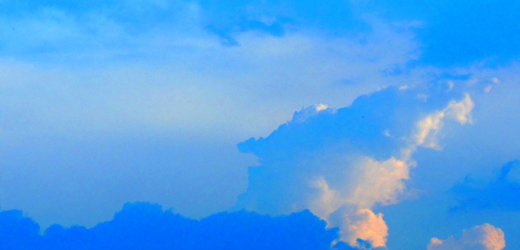 DSCN3434