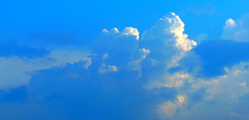 DSCN3435