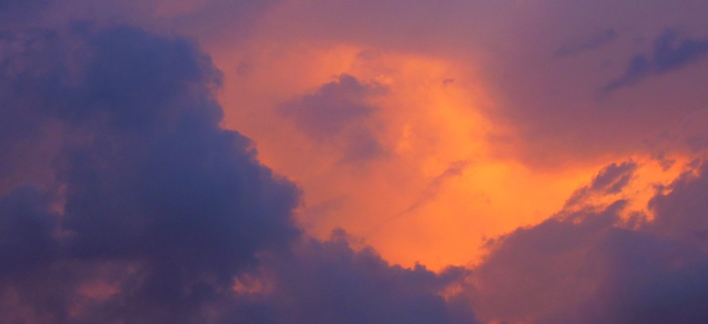 DSCN3438