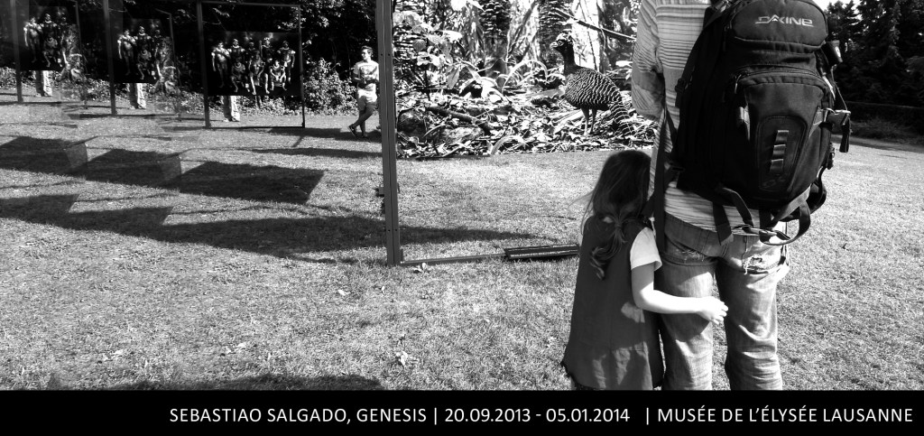 DSCN4332 copie