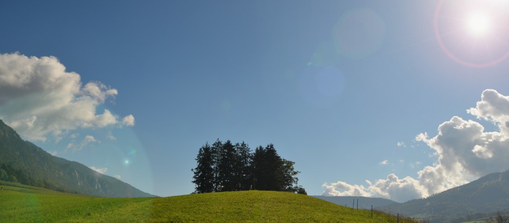 PYK_1209