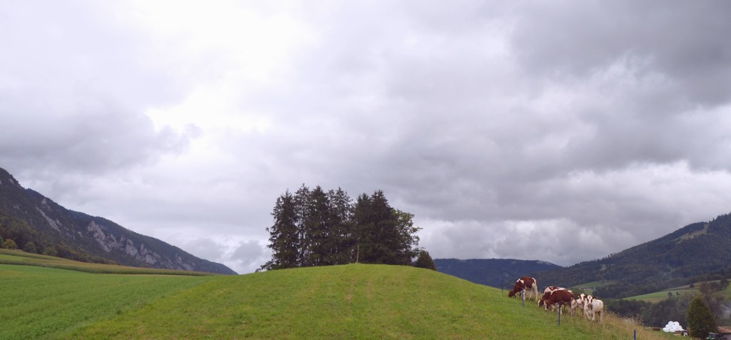 PYK_1214 copie