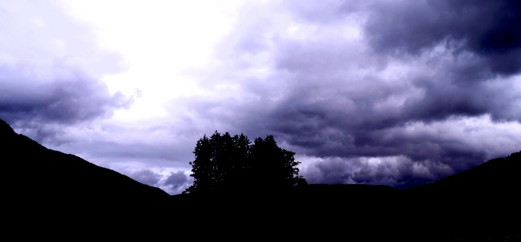 PYK_1214 copie2