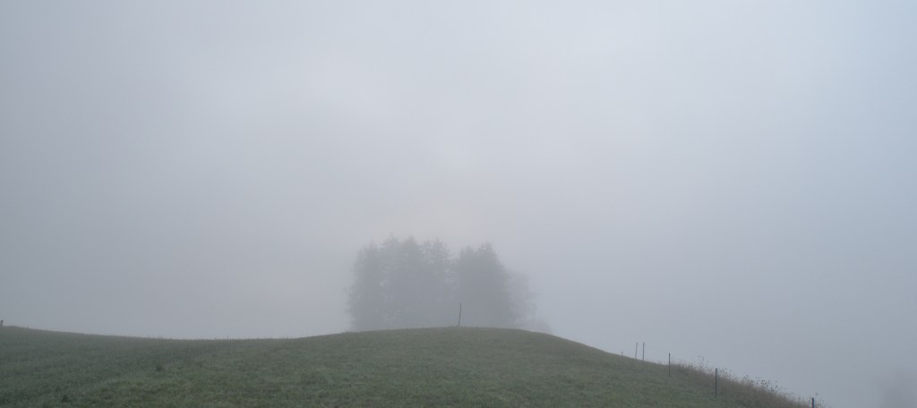 PYK_1215