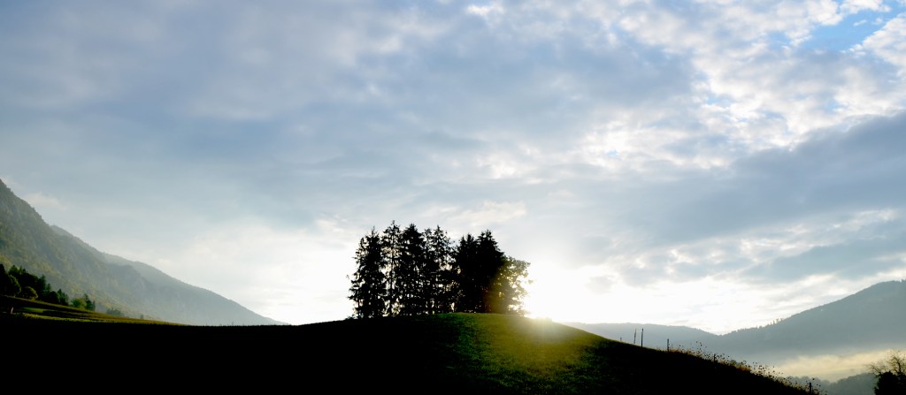 PYK_1219