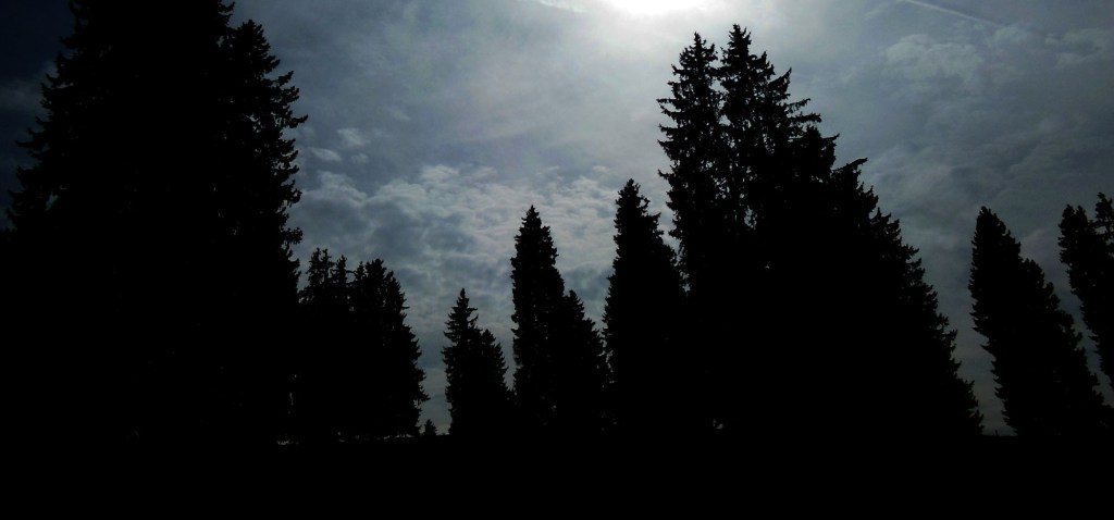 DSCN4427