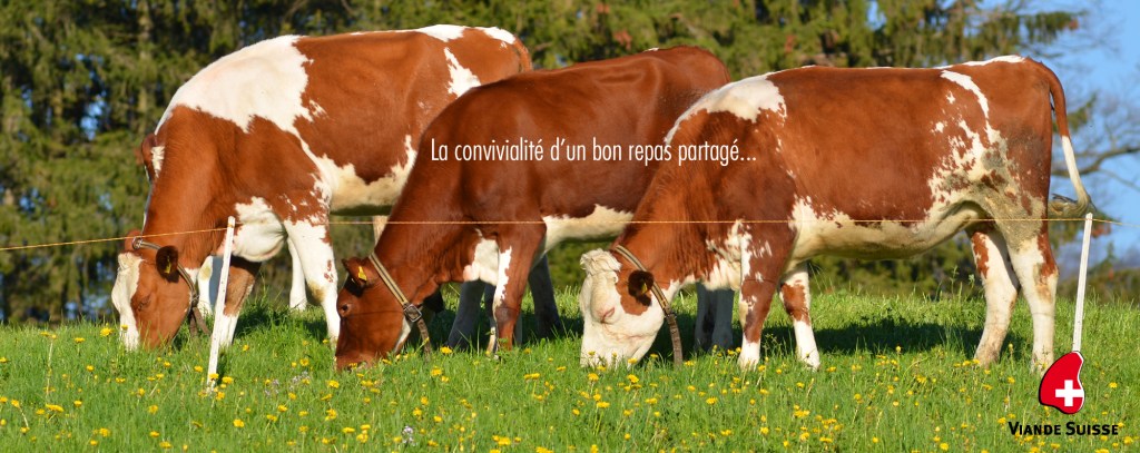 PYK_2408 copie