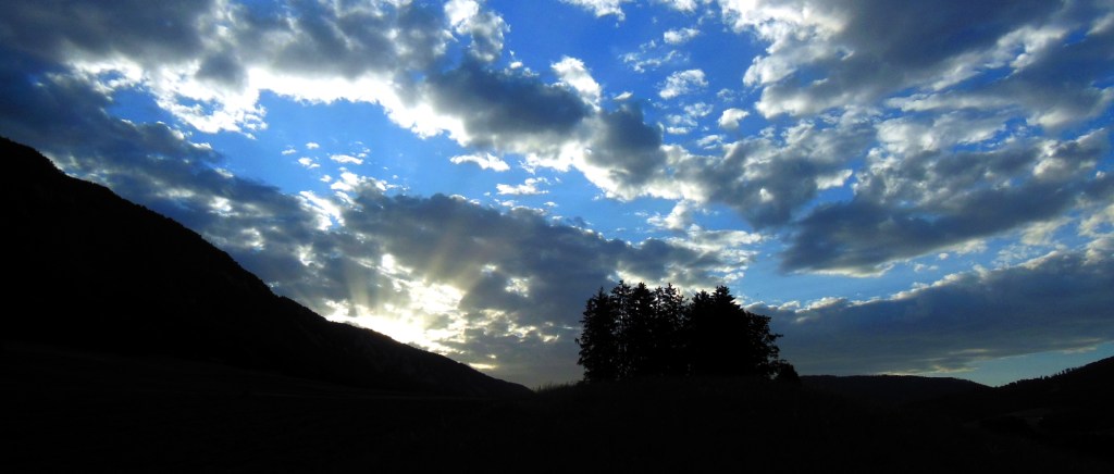 DSCN0207
