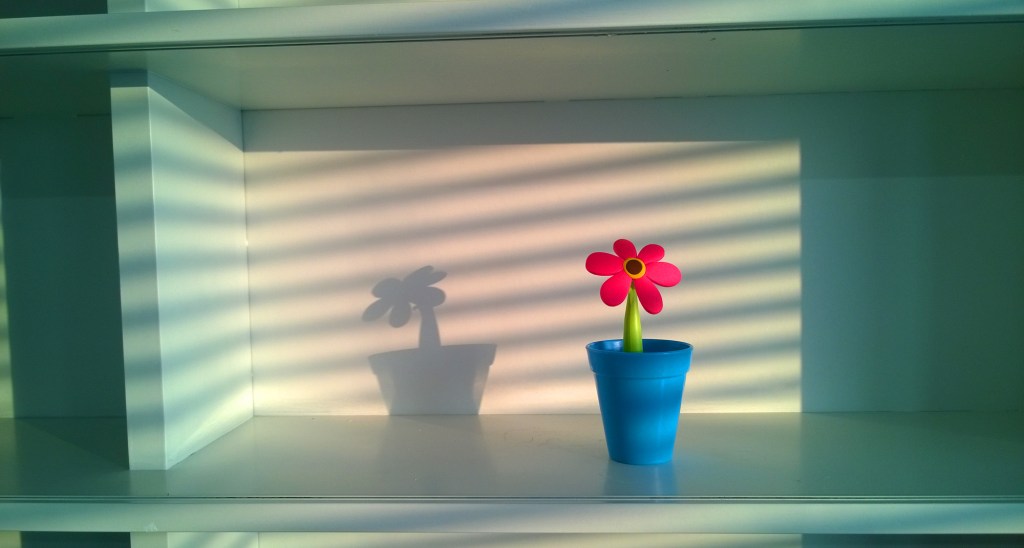 WP_20150323_002