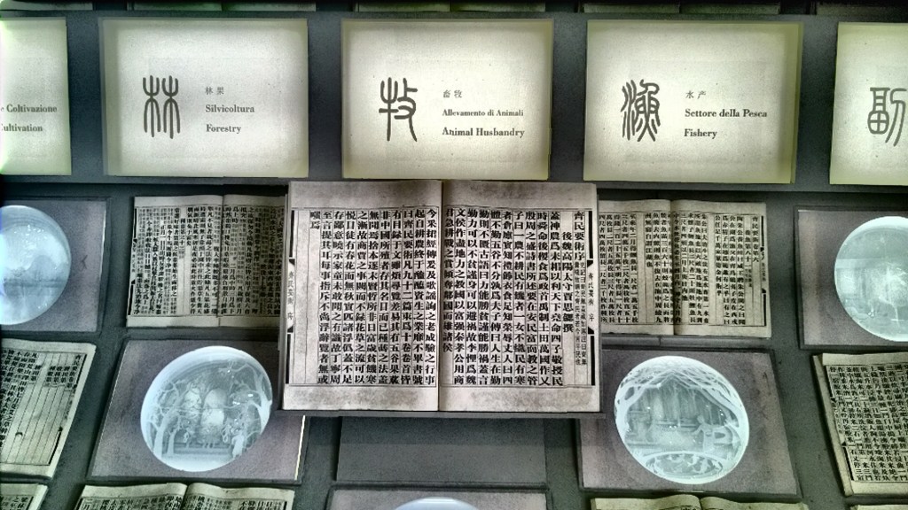 2015_08_15_16_59_42_HDR(1)