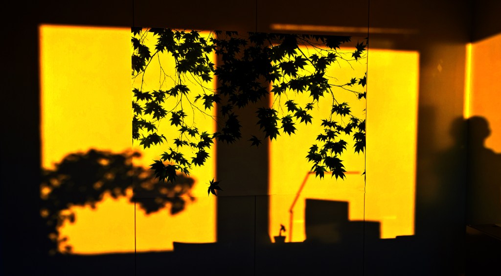 wp_20160907_07_17_32_pro2