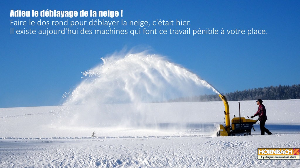 dsc02338-copie