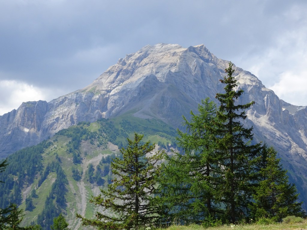 aa