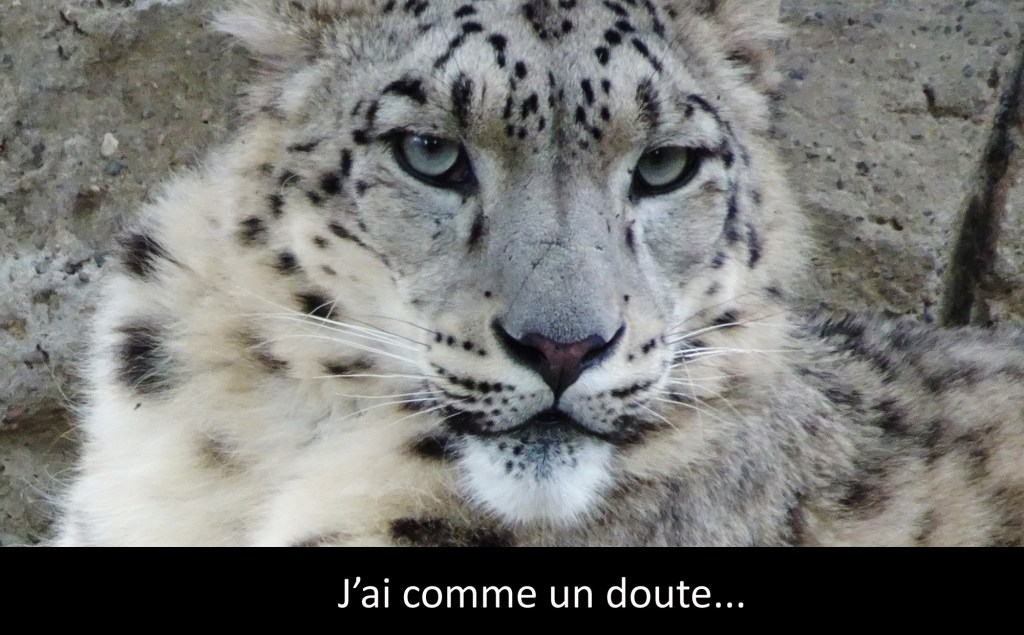 chat 2