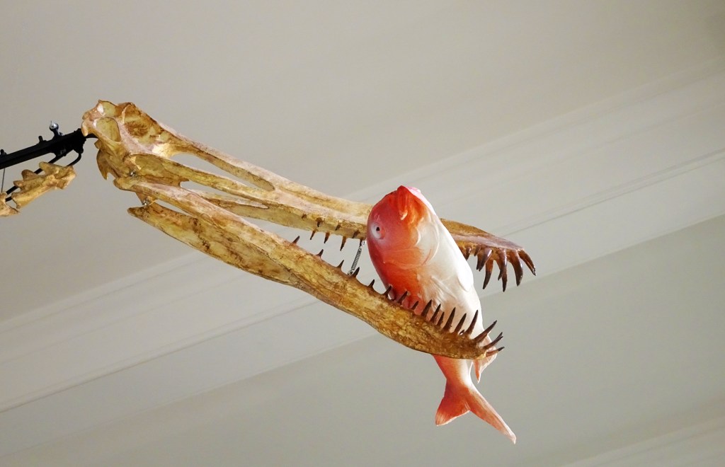 fish
