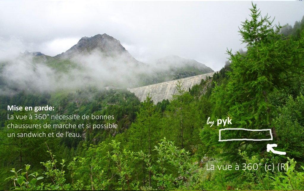 Cleuson3