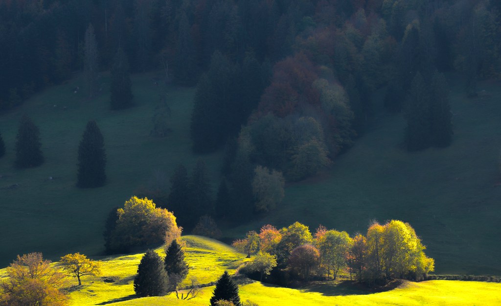 paysage2000
