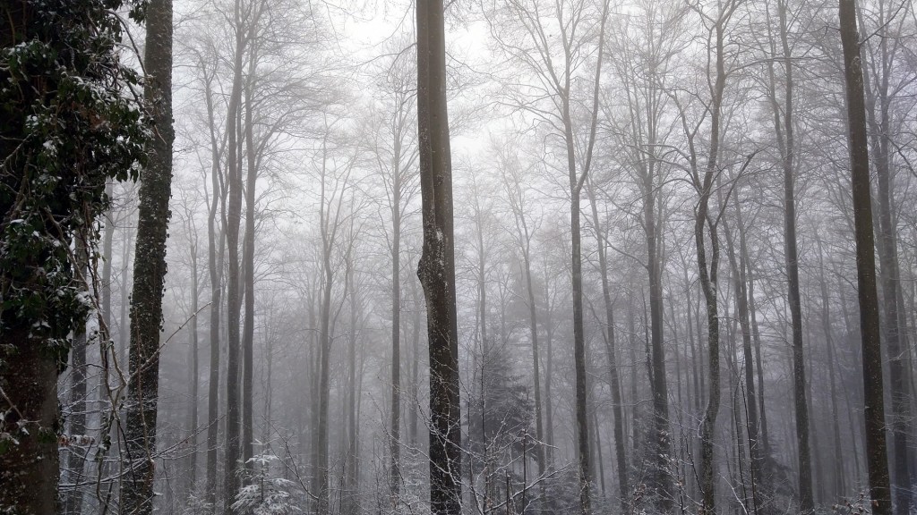 ig2